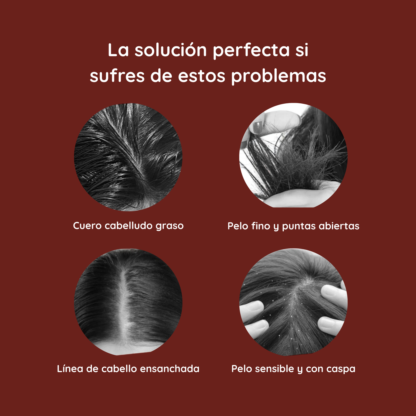 Cepillo masajeador capilar